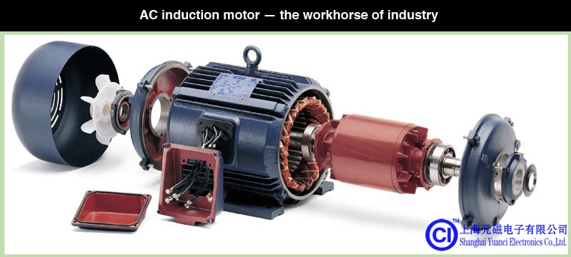 Leeson Electric交流感应电动机的分解图显示了定子绕组，转子（红色），支撑轴承，冷却风扇（白色）和其他元件。